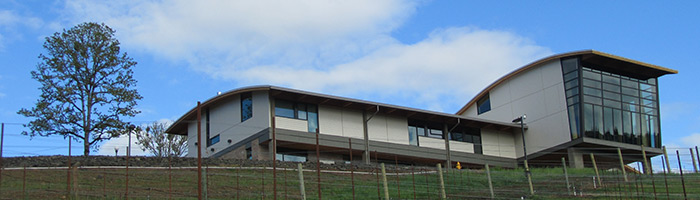 SOWI Building and Vineyard